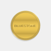 10 gram 22 KT Gold Coin - thumb 2