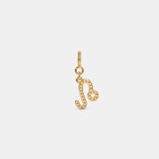 The Elysian Leo Multiwearable Charm - thumb 8