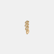 The Chrisley Ear Climbers - thumb 5