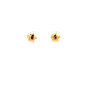 The Shimmer Star Stud Earrings - thumb 3